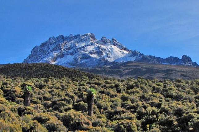 Kilimanjaro Climb Rongai Route (6 Days)