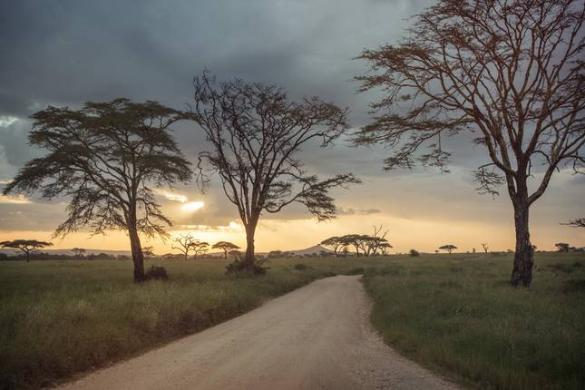 Cape Town to the Serengeti: Deserts & Wilderness