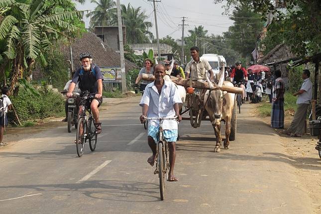 Trek d'une côte à l'autre de l'Inde méridionale