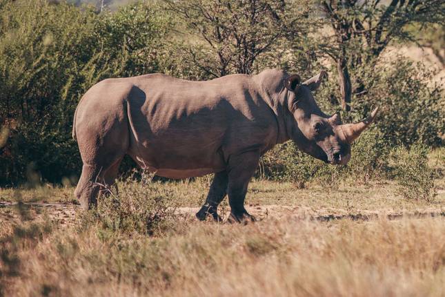 Botswana Family Safari with Teenagers