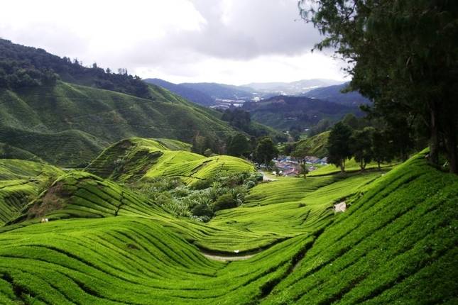 Bangkok to Singapore Travel Pass