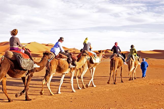 Road to Casablanca - 9 Days