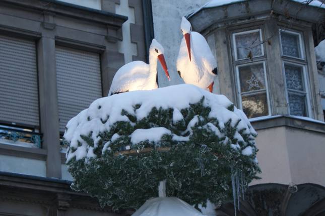 Christmas in Alsace and show at the Royal Palace (port-to-port)