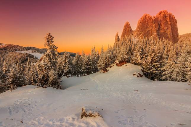 Transylvania Winter Walk & Snowshoe