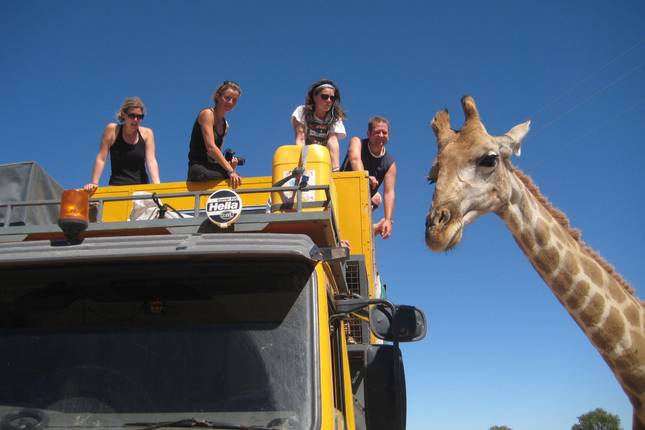 Nairobi To Kigali (13 Days) Gorillas & Gameparks