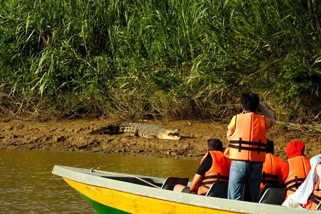 Borneo Family Holiday Comfort (6 destinations)