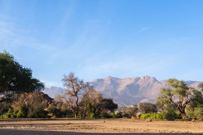 Journeys: Southern Africa Highlights National Geographic