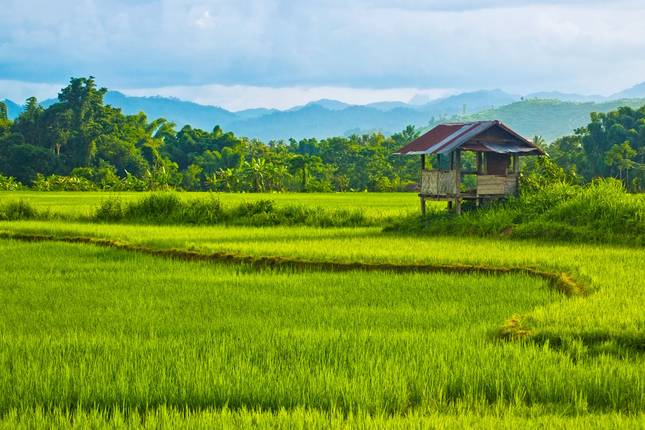Highlights of Laos - 7 days