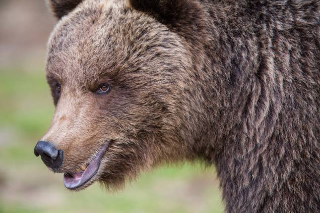 Highlights of Romania