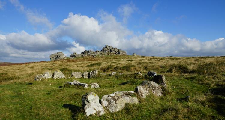 5-Day Devon & Cornwall Small Group Tour from London - Rabbie's Tours