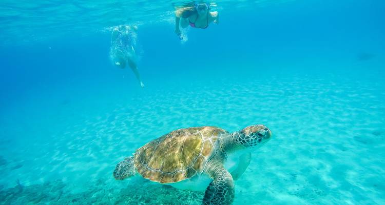 Ultimate Bali (from Kuta to Gili Trawangan) - Ultimate Travel