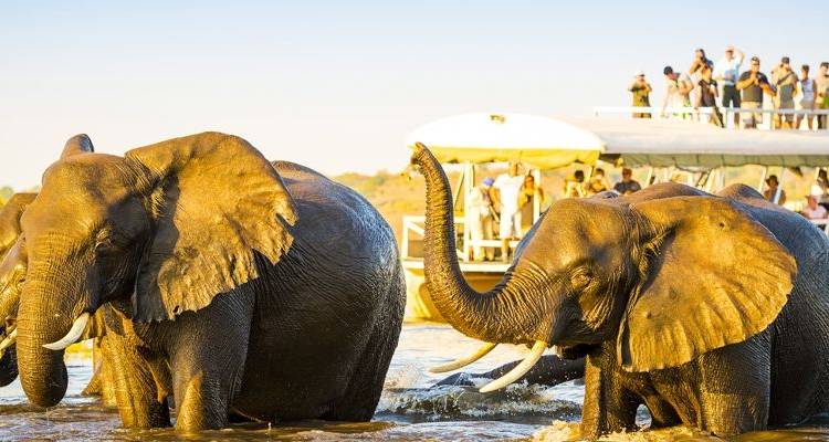 Southern Africa: travel to the ends of the earth with extended stay at the Cape of Good Hope - CroisiEurope River Cruises