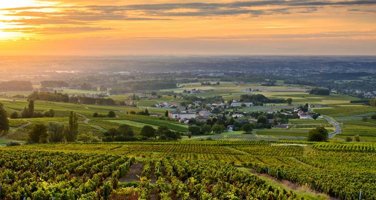 Oenological cruise: Discover the fabulous world of vines and wine (port-to-port cruise) (from Martigues to Chalon sur Saone) - CroisiEurope River Cruises