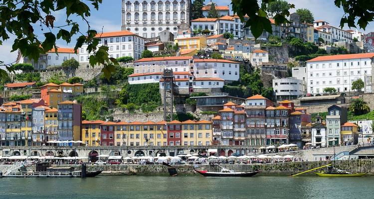 Colorful Ribeira waterfront of Porto with stacked terraced houses, leafy frame and traditional rabelo boats on the Douro.