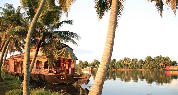Kerala & Cardamom Hills Trek - 13 days - On The Go Tours
