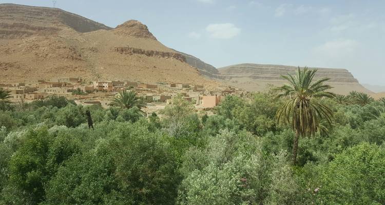 Een weelderige oase met bergen op de achtergrond.