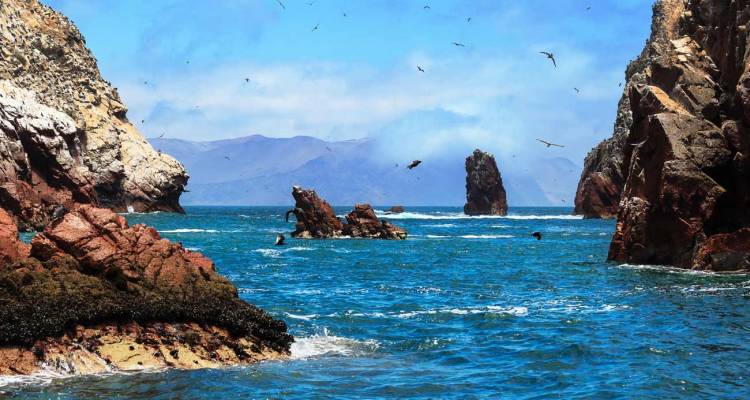 Cultures and Contrasts of South America 2018 (Base, 22 Days) - Trafalgar
