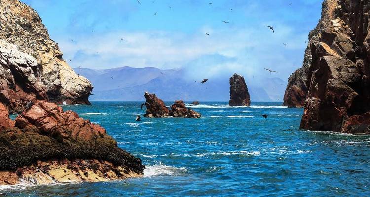 Cultures and Contrasts of South America with Paracas Extension 2018 - Trafalgar