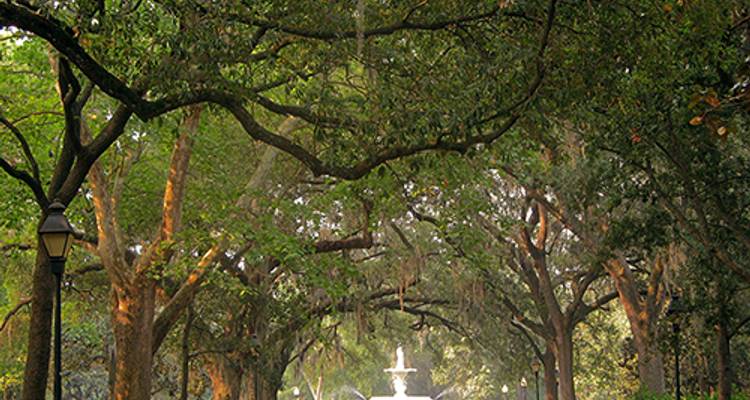 Southern Charm featuring Charleston, Jekyll Island & Savannah (Charleston, SC to Jacksonville, FL) (2018) - Collette
