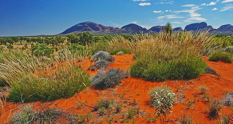 From the Outback to the Glaciers (Cairns to Christchurch) (2018) - Collette