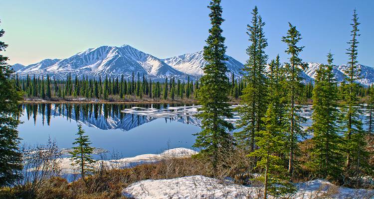Alaska and The Yukon featuring the Yukon, Fairbanks and Denali (Anchorage, AK to Anchorage, AK) - Collette