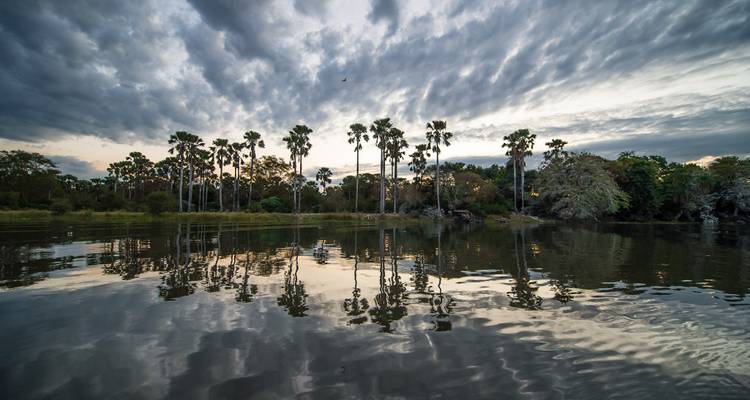 Vista panorámica de un lago con palmeras y un espectacular cielo nublado que se refleja en el agua.
