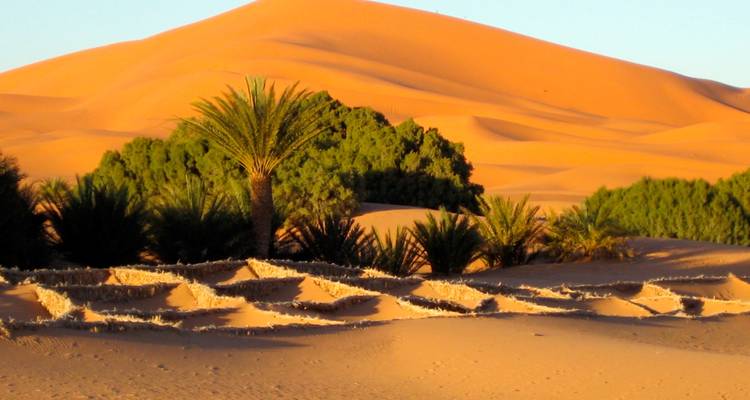 Highlights of Morocco - Premium - Exodus Travels