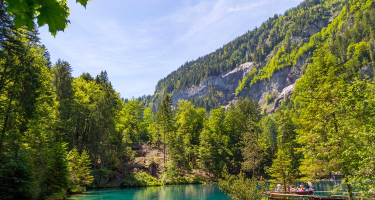 Un lac forestier serein aux eaux émeraude reflétant de grands arbres et des falaises rocheuses.