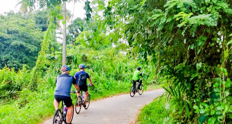 Radfahrer fahren entlang eines üppig grünen ländlichen Weges, der von dichter Vegetation umgeben ist.