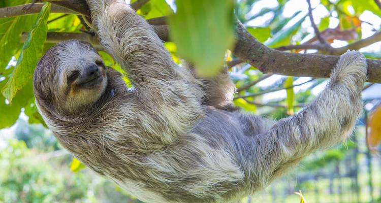 Highlights of Costa Rica Tour - Solo Travellers Group Holidays