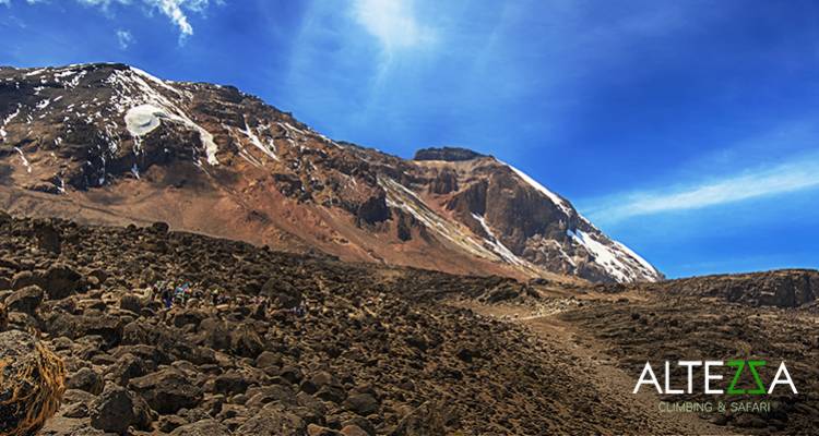 Climb Kilimanjaro: 8 Days Machame Route - Altezza Travel