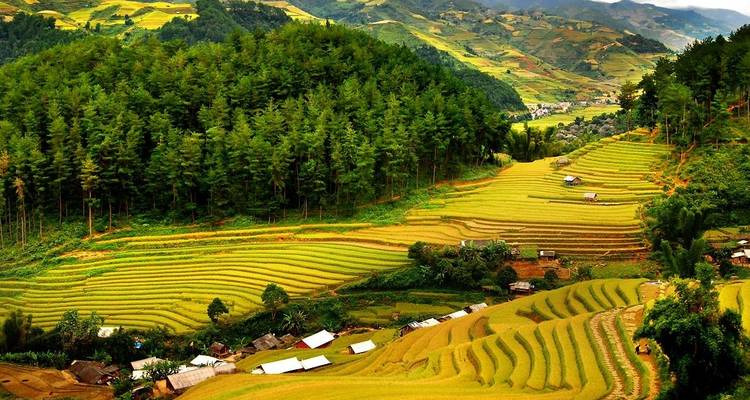 Vietnam - Specifically the North - Threeland Travel