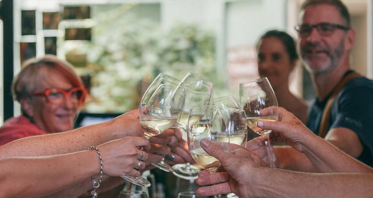 Un grupo de personas brinda con copas de vino blanco en un acogedor ambiente interior de degustación.