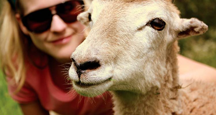 Classic Peru- For Solo Travellers - Intrepid Travel
