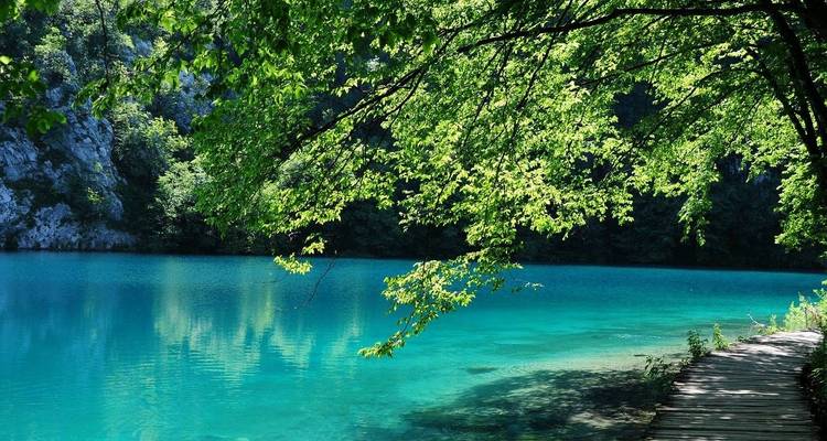 Een rustig turkoois meer omgeven door een houten wandelpad en weelderige bomen.