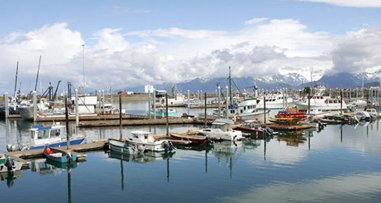 Alaska And Kenai In-depth - Grand American Adventures