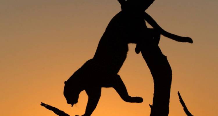 Classic South Africa - Springbok Atlas Tours & Safaris