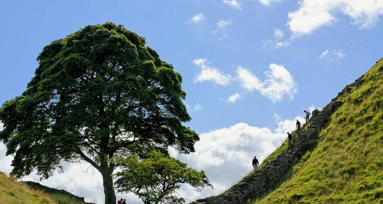 Wilderness Walking - National Parks of the UK - Wilderness Scotland