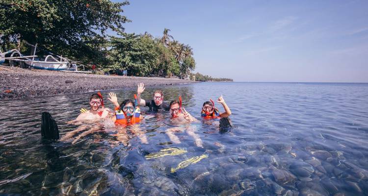 Groupe de personnes faisant de la plongée avec tuba dans une eau bleue claire près d'une plage rocheuse avec des arbres.