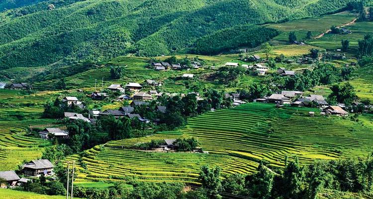 Along Vietnam from Saigon - Nha Trang- Dalat - Hoi An - Hue - Halong - Sapa - Vietnam Adventure Tours