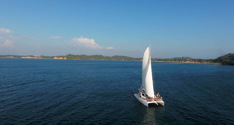 Un catamarán a vela con las velas desplegadas se desliza sobre aguas azul profundo cerca de la orilla verde y exuberante