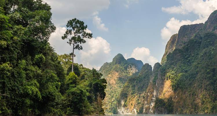 Imposante Kalksteinklippen und üppiger Regenwald umgeben smaragdgrüne Gewässer in Khao Sok.