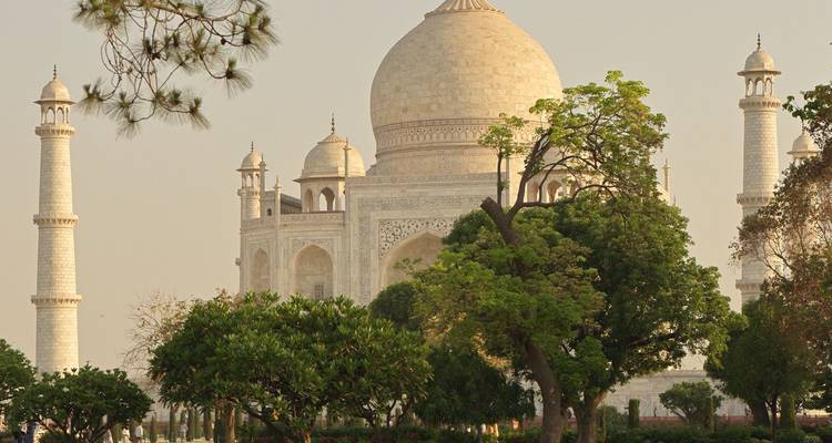 Vue classique de face du Taj Mahal partiellement encadré par des arbres verts sous une lumière douce du jour.