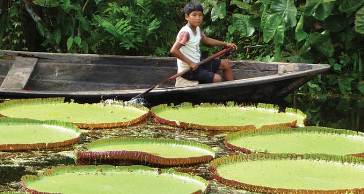 Peru Real Food Adventure, with Amazon Extension - Intrepid Travel