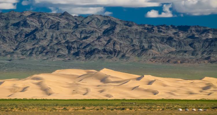 Las dunas de arena dorada ondean frente a una cadena montañosa oscura y accidentada bajo la brillante luz del mediodía.