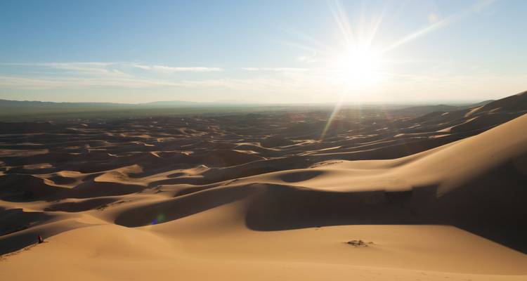 Las vastas dunas de arena ondulantes brillan bajo un sol bajo, proyectando largas sombras a través del panorama desértico.