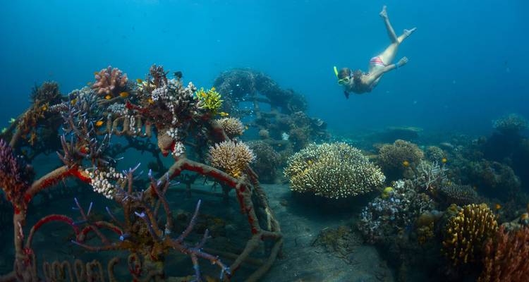 Diver swims over colorful coral reefs and submerged sculptures in crystal-clear sea.