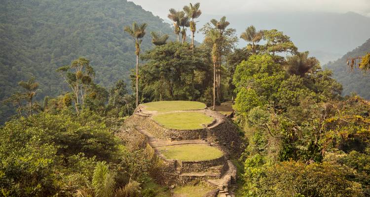 Geheimnisvolle Steinterrassen von Ciudad Perdida, umgeben von üppigem Tropenwald.
