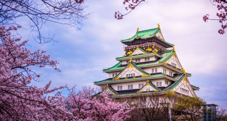 Japan Express 2019-20 - Topdeck