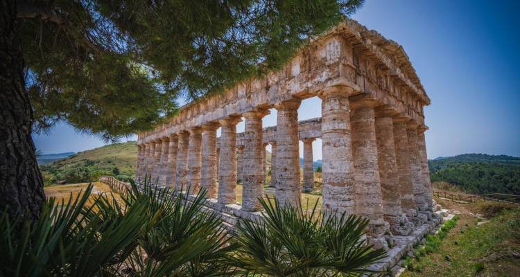 Antiguo templo dórico de Segesta rodeado de colinas verdes ondulantes y enmarcado por ramas de pino.